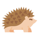 hedgehog