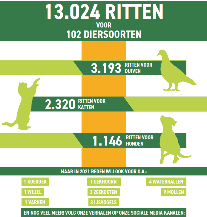 onze dieren