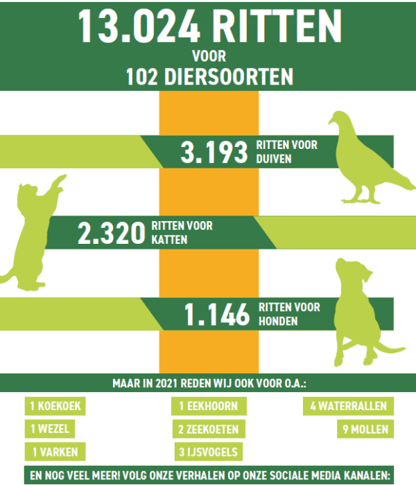 onze dieren
