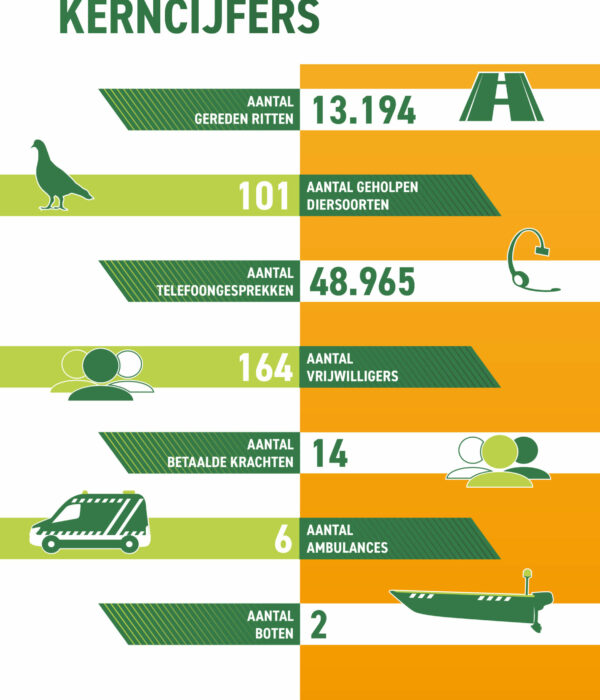 Jaarverslag Dierenambulance Amsterdam 20226