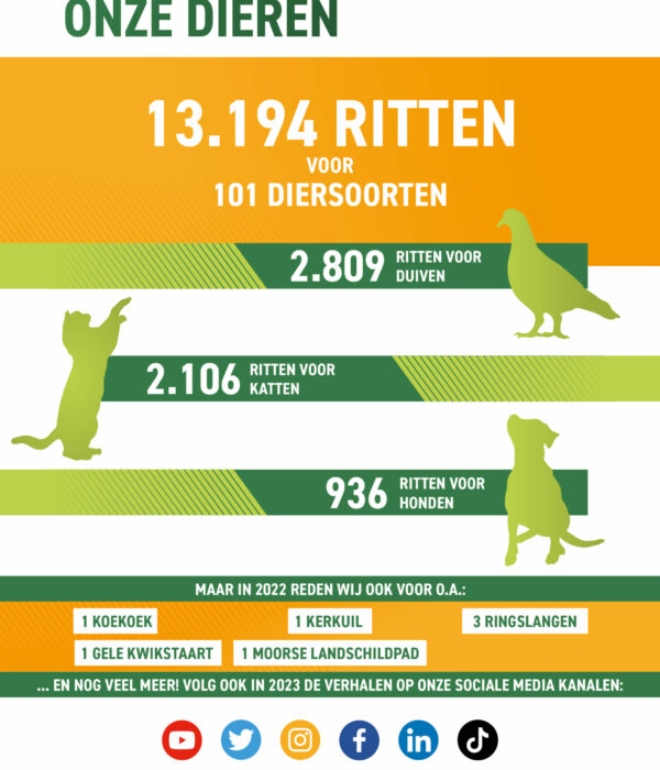 Jaarverslag Dierenambulance Amsterdam 20227