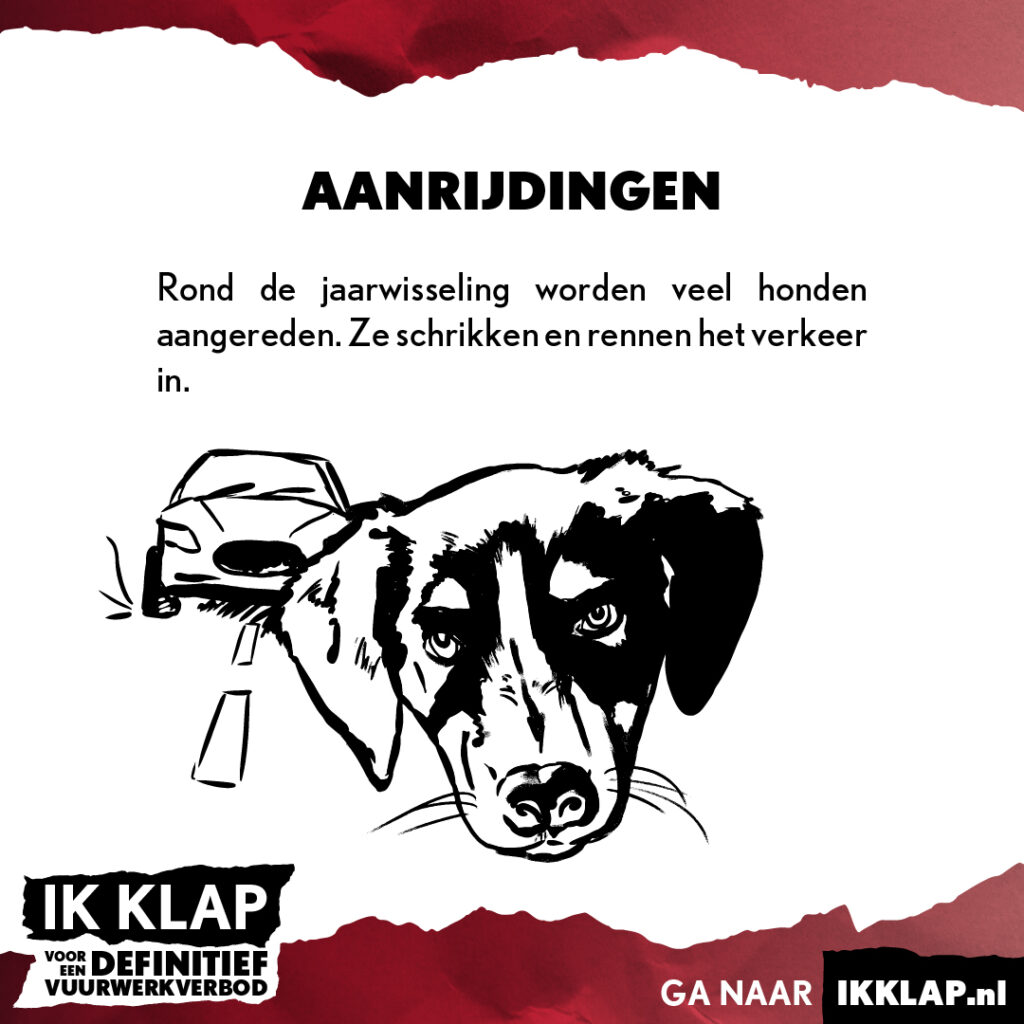 5 HOND los beeld IK KLAP