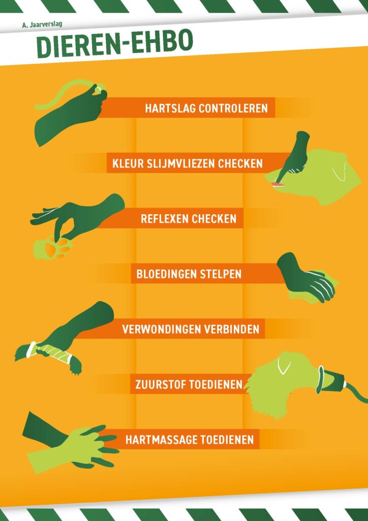 Jaarverslag Dierenambulance Amsterdam 2024 Dieren-EHBO