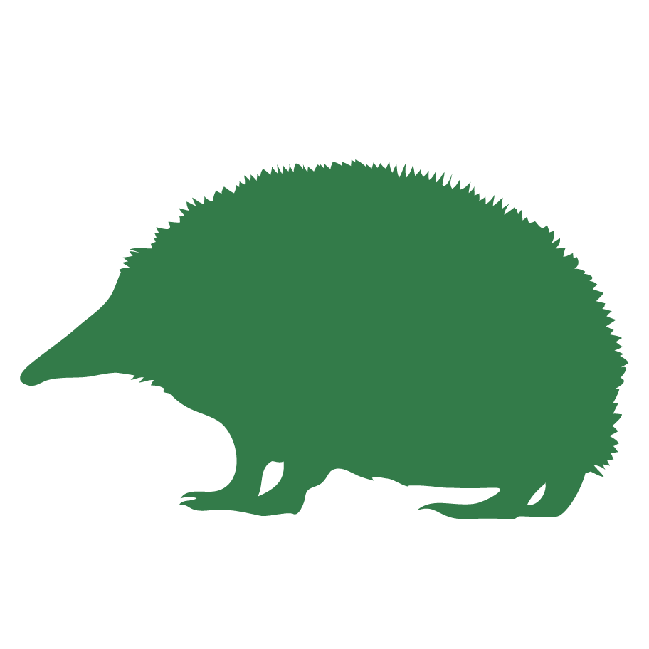 Jaarverslag DAmb2024-12