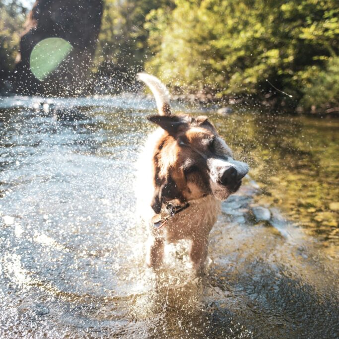 mckayla-crump-n6zxYB2ahMg-unsplash